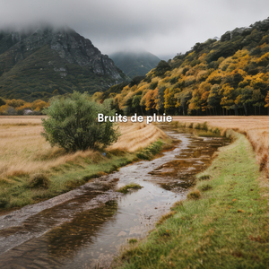 S’endormir avec le bruit de la pluie