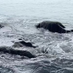 03.凌汛Diss LuckyX范瑞兴