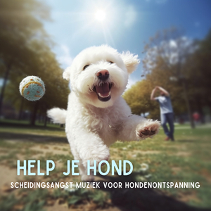 Liefde en vertrouwen