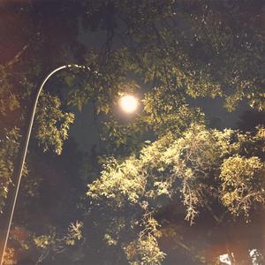 12:41am