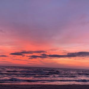 Passionfruit Green Tea