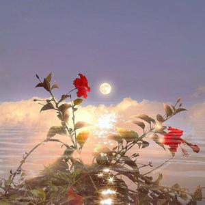 星河不及你（翻自 Nainai）