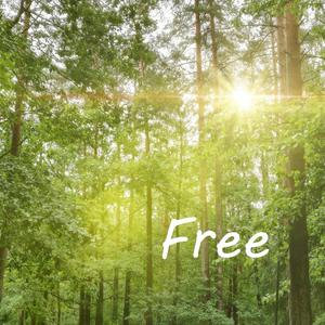 Feminine (feat. Sara Blomqvist)