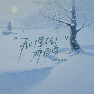 我们等不到那场雪