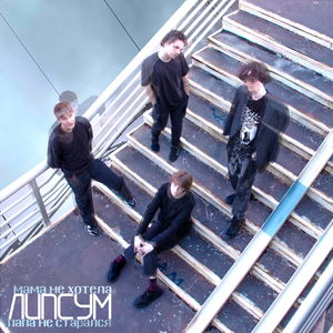 Хоббихорсинг