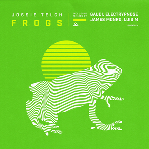 Frogs (Original Mix)