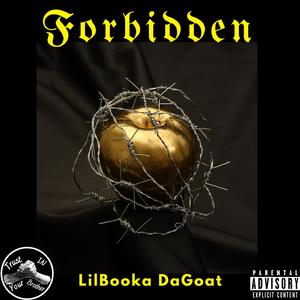 Misery Loves Company (feat. Lil Meer & Kendric Carey)