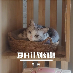 夏日爱情奇幻 伴奏