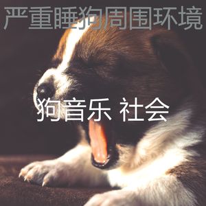 精彩训练犬环境