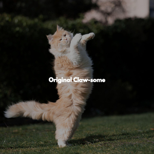 Retro Music for Cool Autumn Mornings