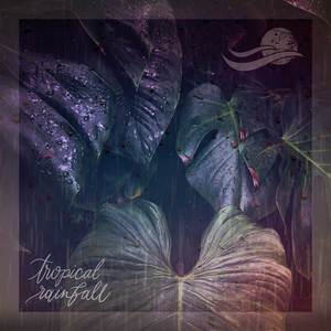 Rainy Morning in Mata Oscura, Panama (loopable)