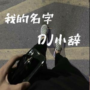 爱情转移·富士山下