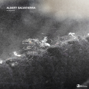 Acceptance (Original Mix)