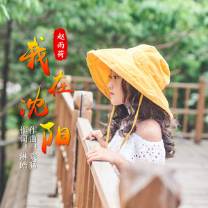 我在沈阳 (伴奏)