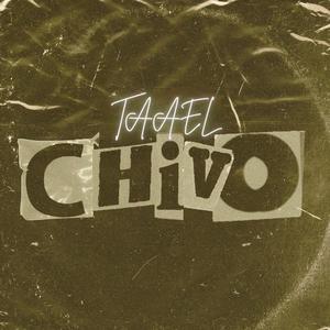 CHIVO