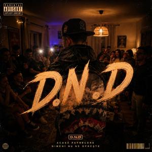 D.N.D