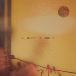 널 좋아하는거 그만둘까봐 (inst.)