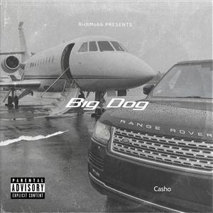 Big Dog