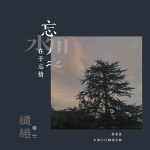 水从天上来（电视剧《宸汐缘》插曲）（翻自 张碧晨）