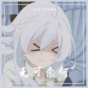 无可奈何