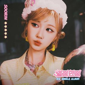 레몬조각