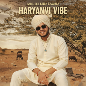 Haryanvi Vibe