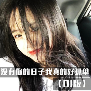 没有你的日子我真的好孤单 (DJ版)
