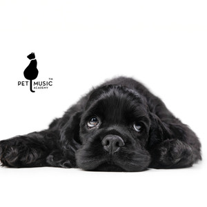 Trust and Tranquility