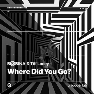 Where Did You Go? (Chill Night Mix)