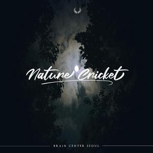 Deep Relax, 勉強, Pour Moi