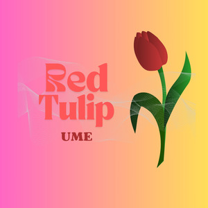 Red Tulip