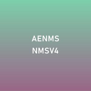 AE.NMS[II], Vol. IV