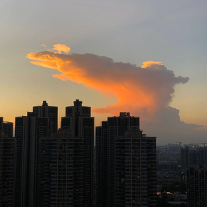 妖姬-绝口不提爱你(Mcyy RemixV2)（海口Dj佳少（商家） remix）