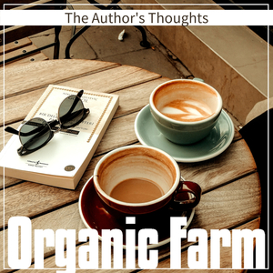 A Story of a New City