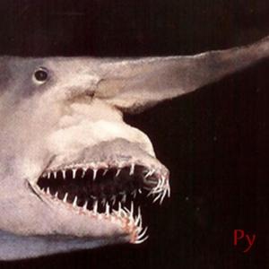 Niñx interior (feat. F.gloom)