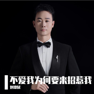 不爱我为何要来招惹我
