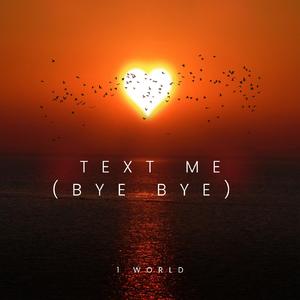 Text (Bye Bye Bye)