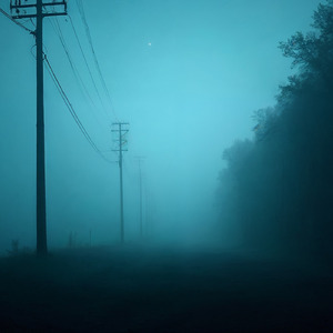 neighborhood libraries