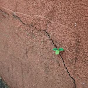 万古长青（prod.by Morrow）