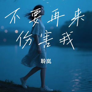 不要再来伤害我
