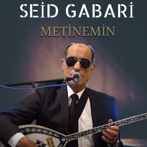 Metinemın