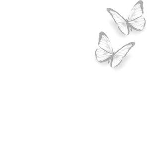 温柔的风从初冬吹到暖春