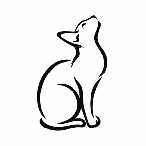 Подільський ноктюрн
