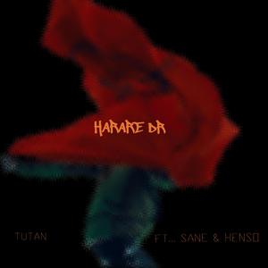Harare Dr (feat. Hweda, Henso & sane.wav)