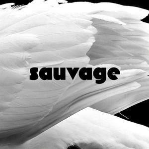 Sauvage