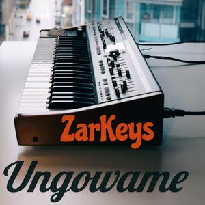 Ungowami