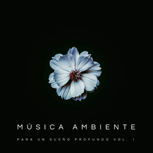 Música Relajante Para Dormir