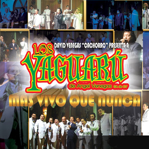 Tendrás Que LLorar (En Vivo)