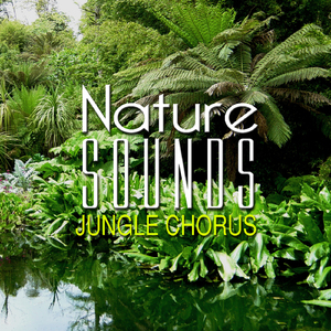Jungle Chorus