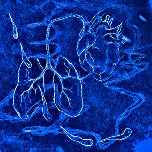 Water & Lungs (feat. Mora Grey)